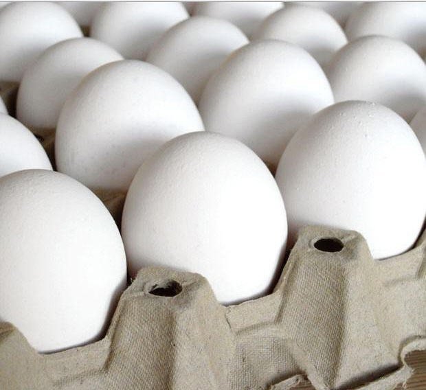 Яйцо Куриное Белое Фото